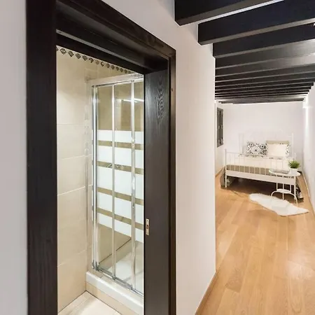 Apartament Loft En El Corazon De Cerca De La Catedral *